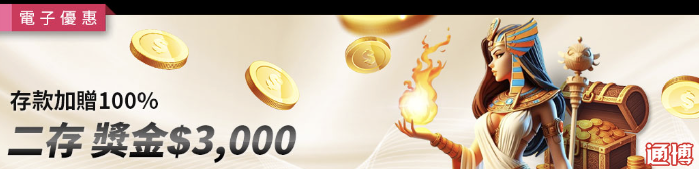 電子限定二存100%